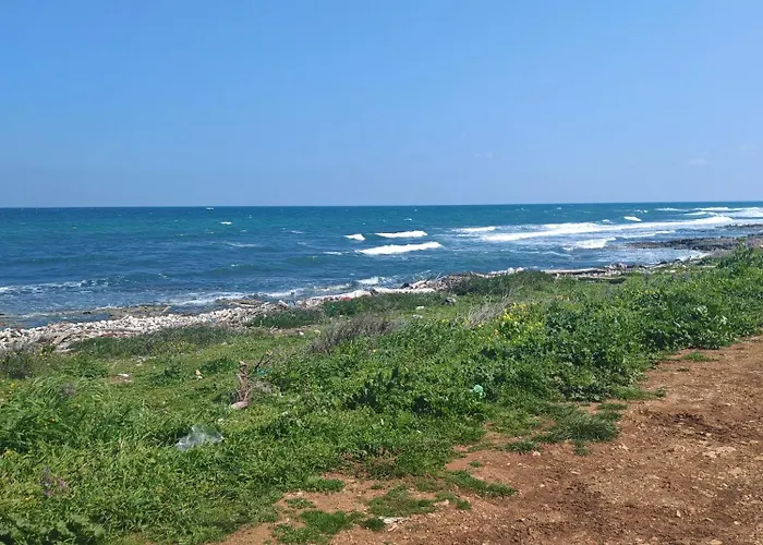 Vista Mare 22 Проживание в семье *